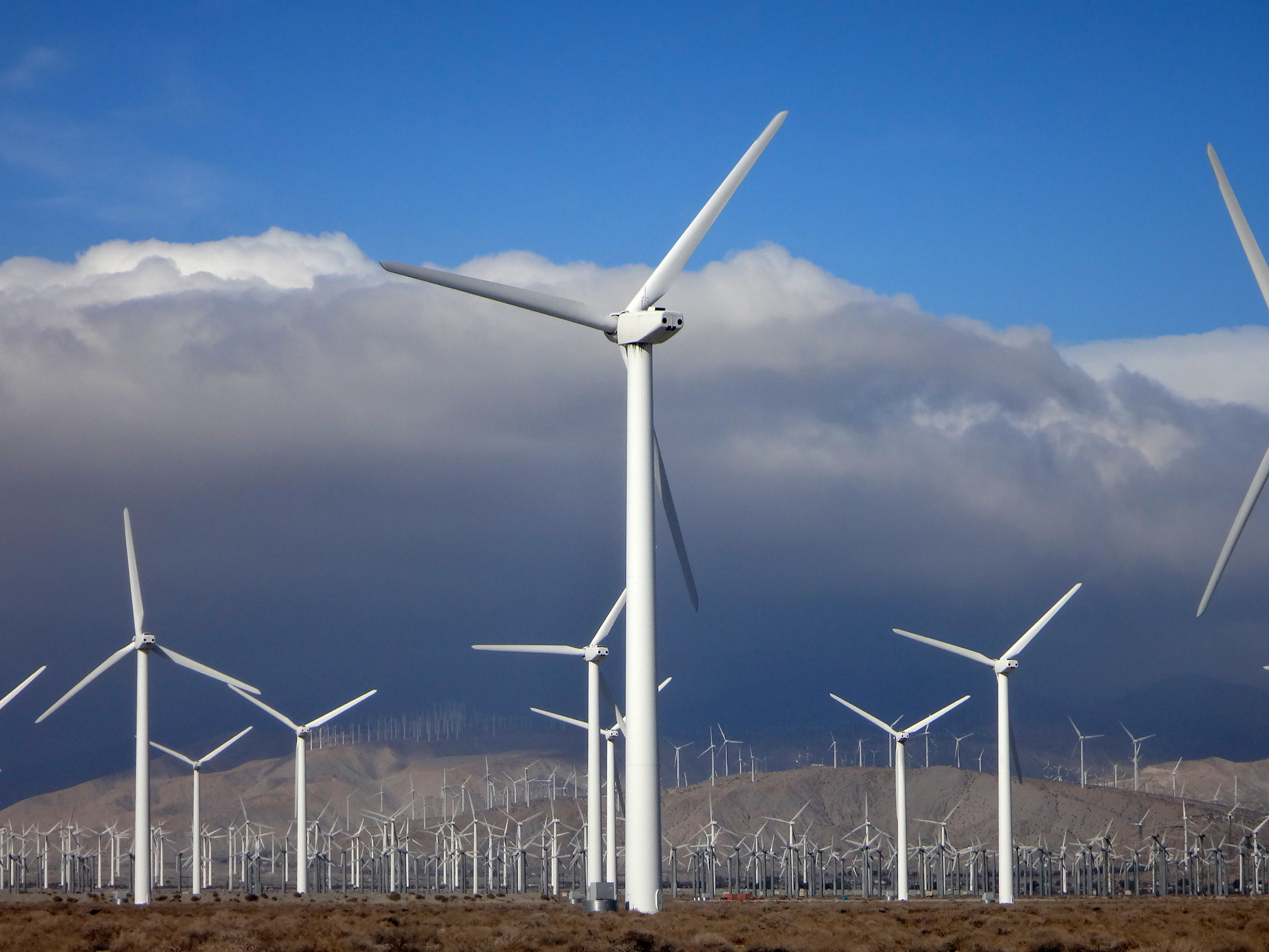 Wind farm